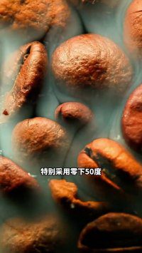 第6条素材视频缩略图 · 无所谓 WHATEVER 运动冻干黑咖啡