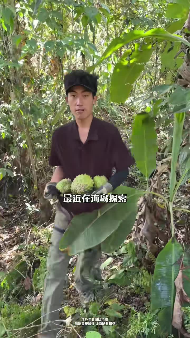 守护家园，击退一切入侵者